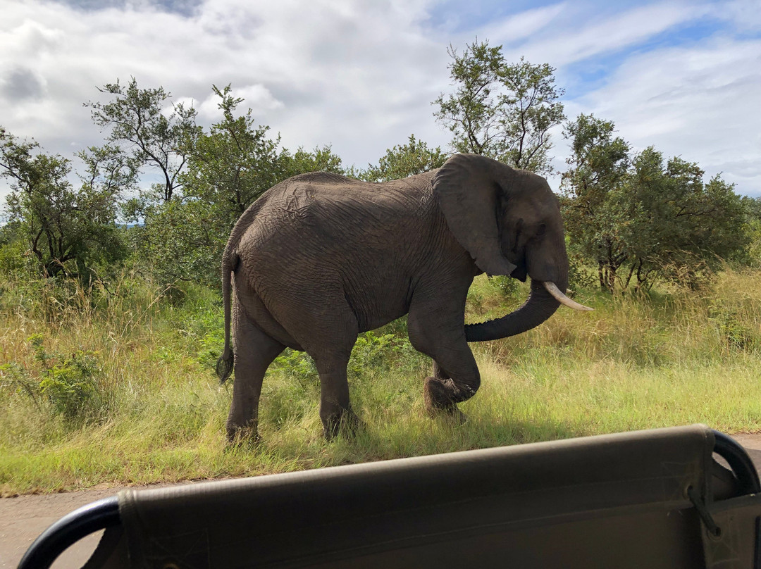 On Safari Africa-雾观必去景点