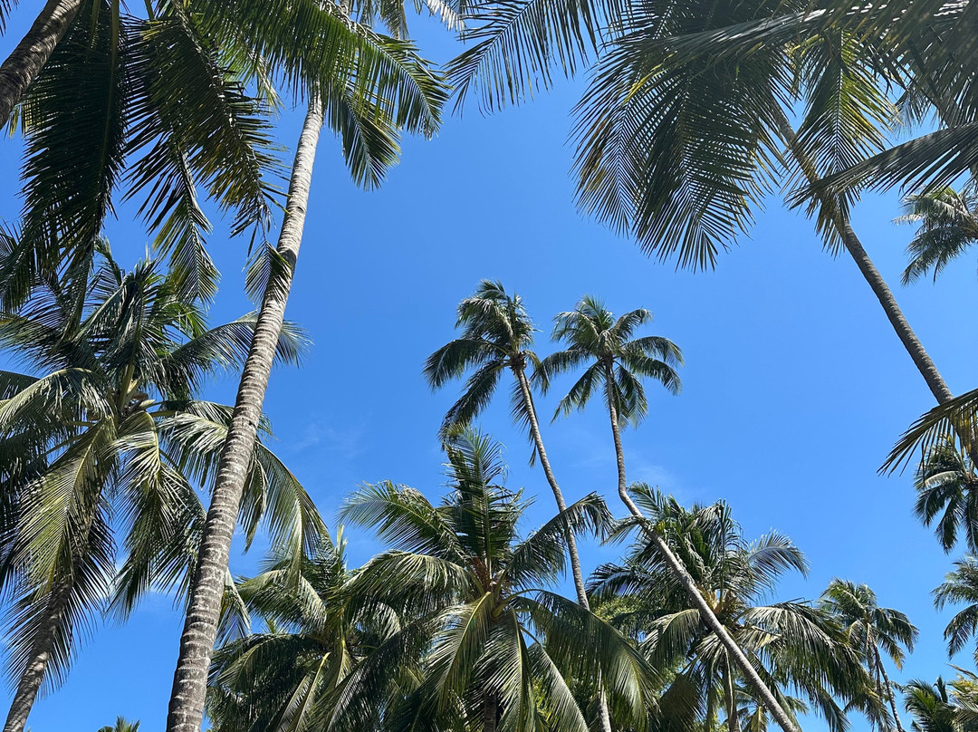 伊斯卡拉度假酒店主图