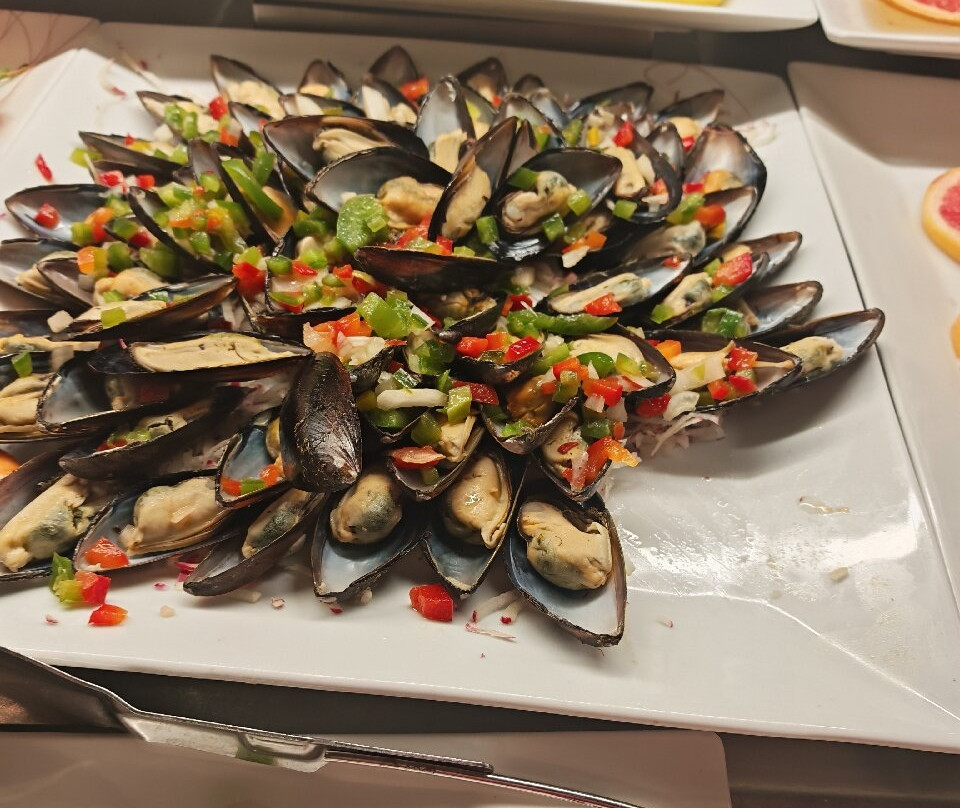 丽笙宫殿酒店博阿维斯塔 - 全包主图