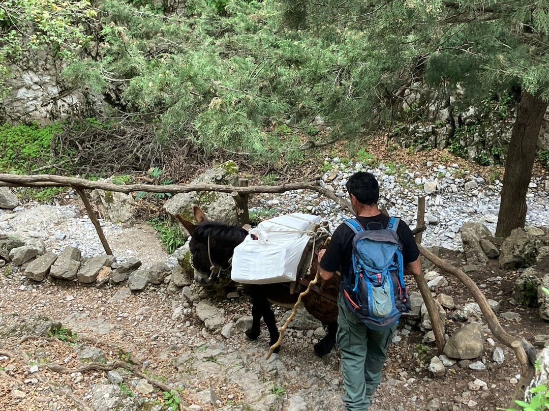 Imbros Gorge-克里特岛必去景点