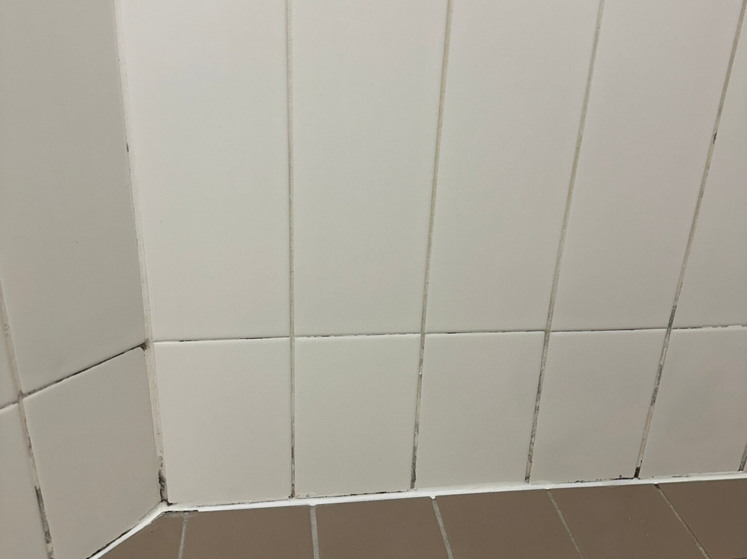 帕尔默集合酒店主图