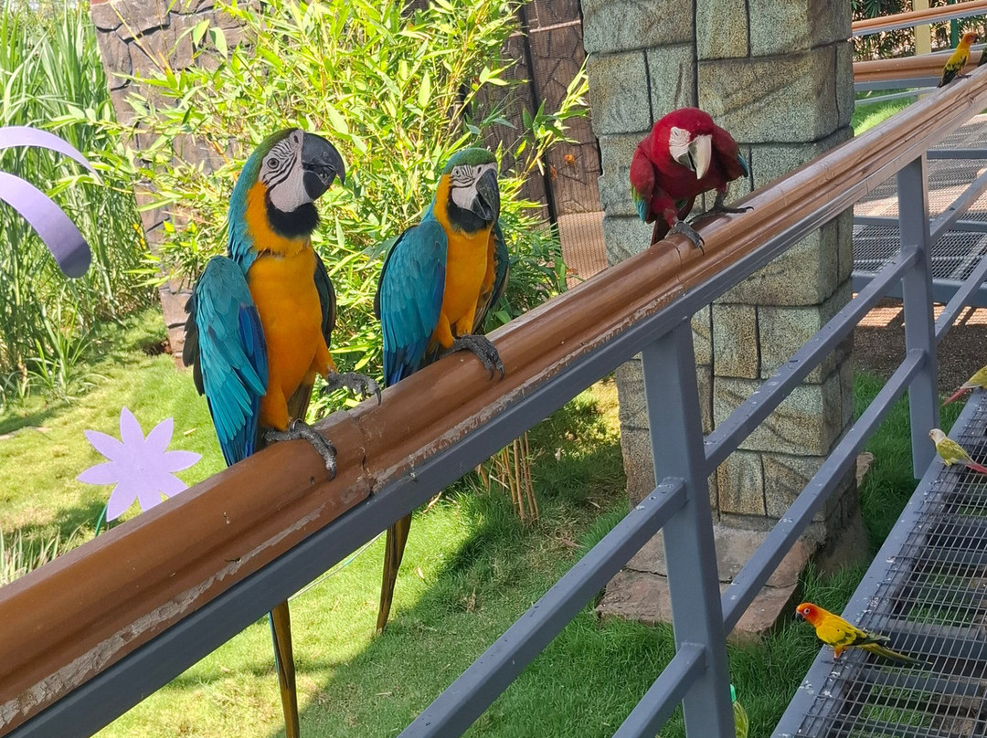 Trichy Birds Park-Tiruchirappalli District必去景点