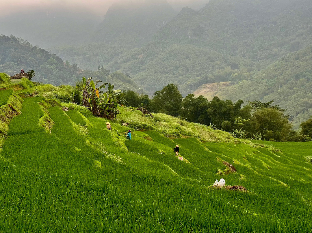 Aventure Vietnam Travel-河内必去景点