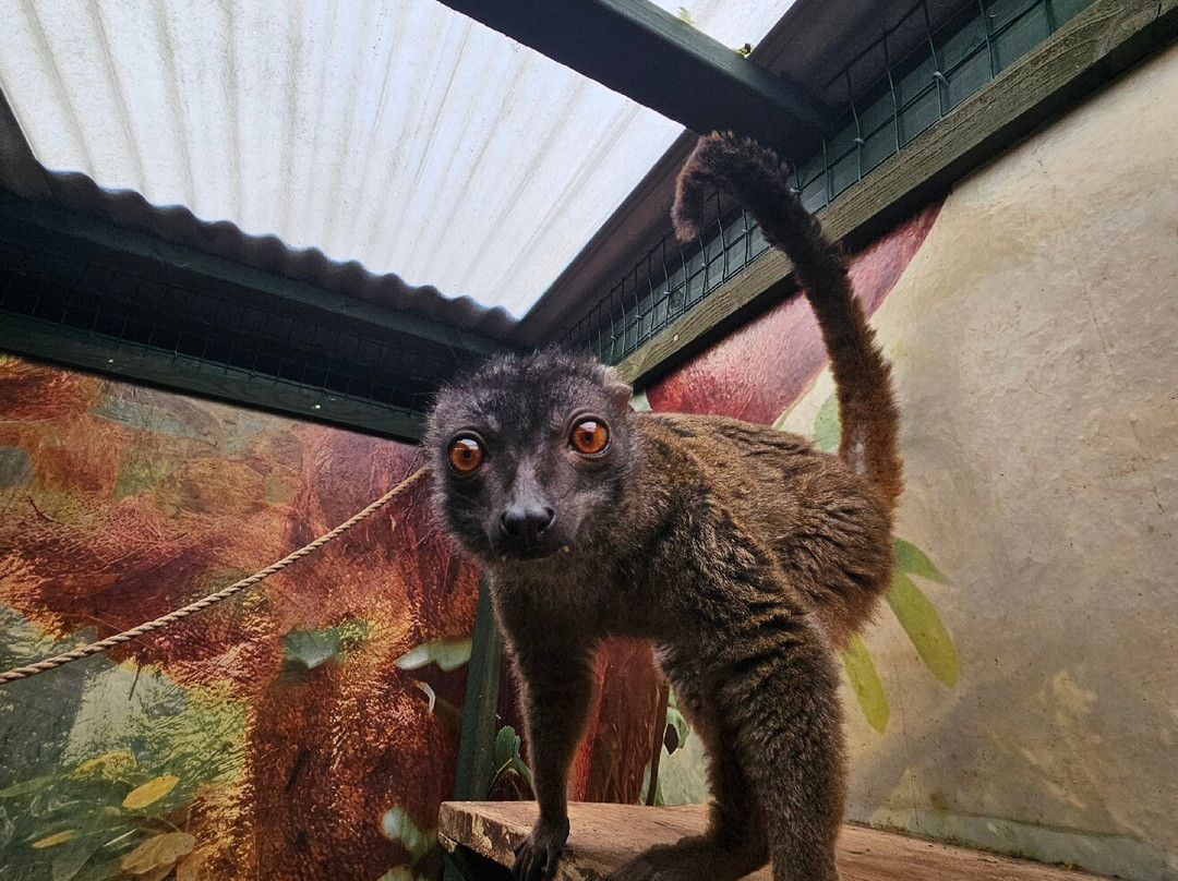 Auchingarrich Wildlife And Adventure Park-Comrie必去景点