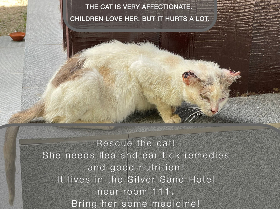 穆九海洋度假村-哈夫洛克岛主图