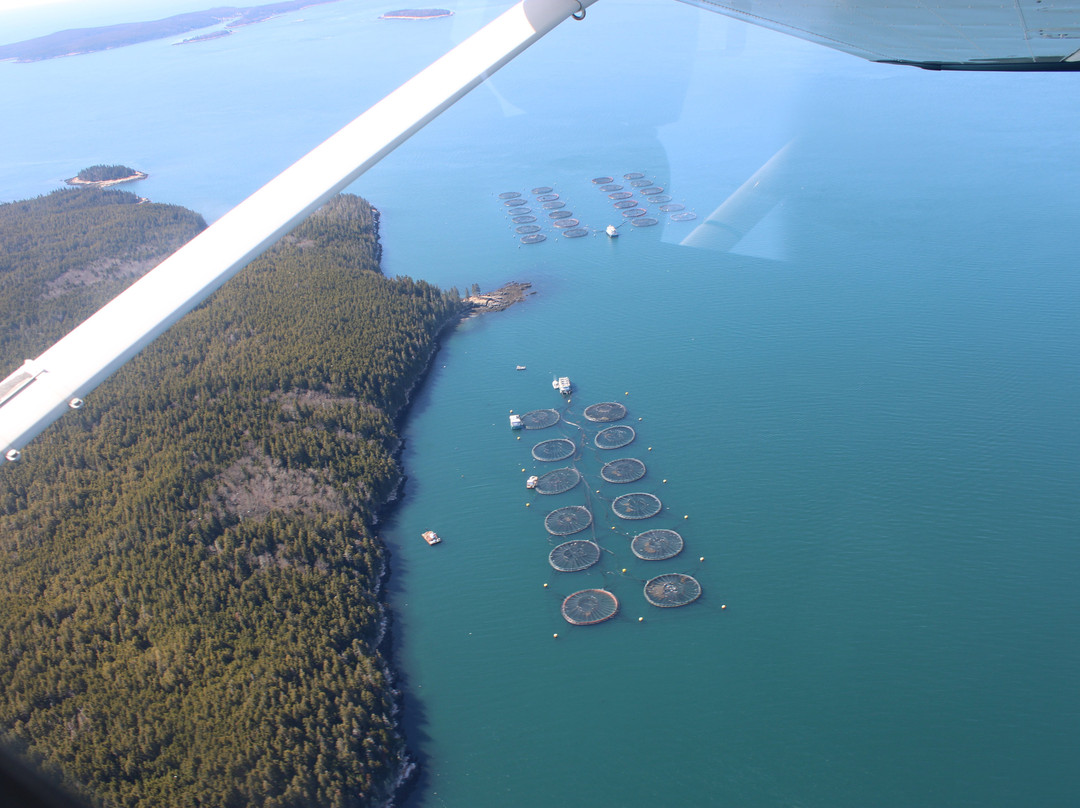Scenic Flights of Acadia-Trenton必去景点