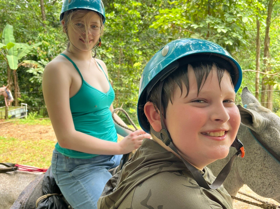 Brisas del Nara-哥斯达黎加安东尼奥国家公园必去景点