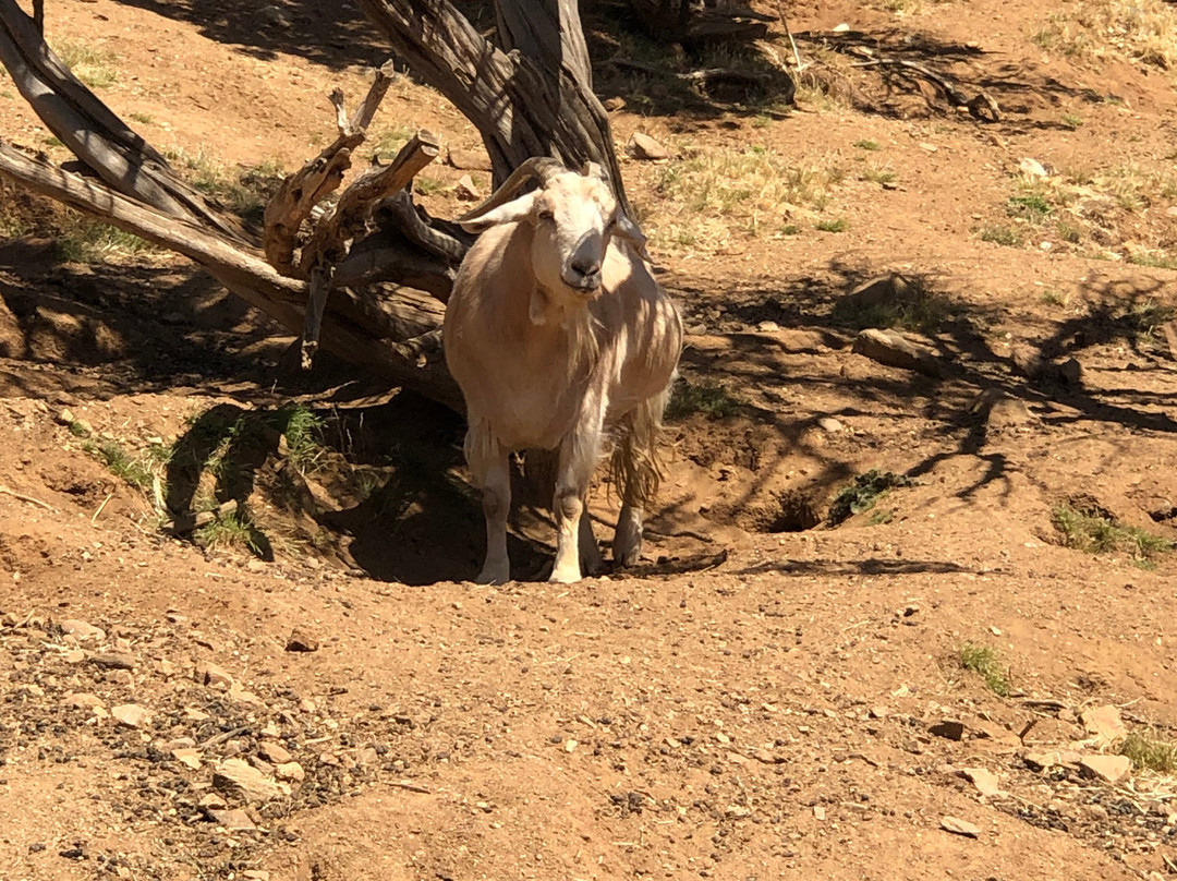 Farm Sanctuary-ACTON)必去景点