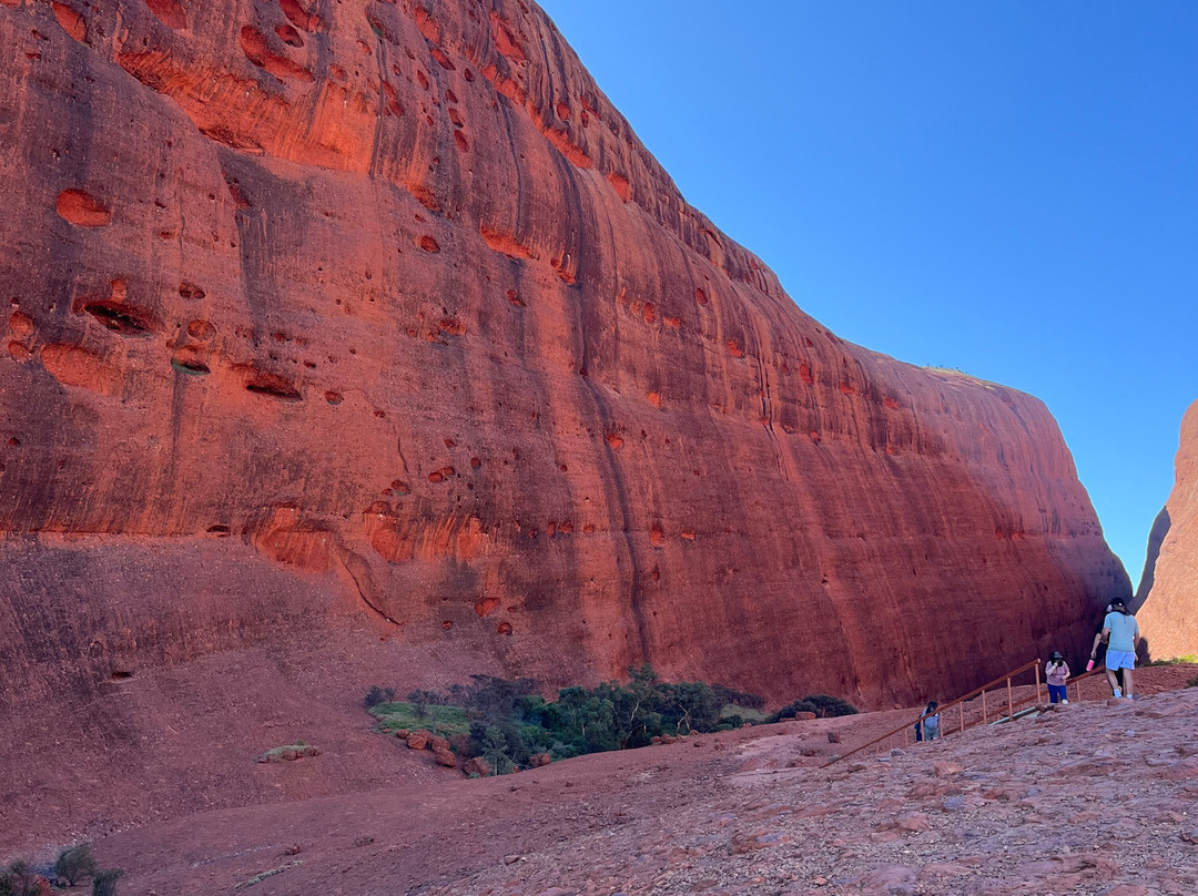 Sightseeing Tours Australia-墨尔本必去景点
