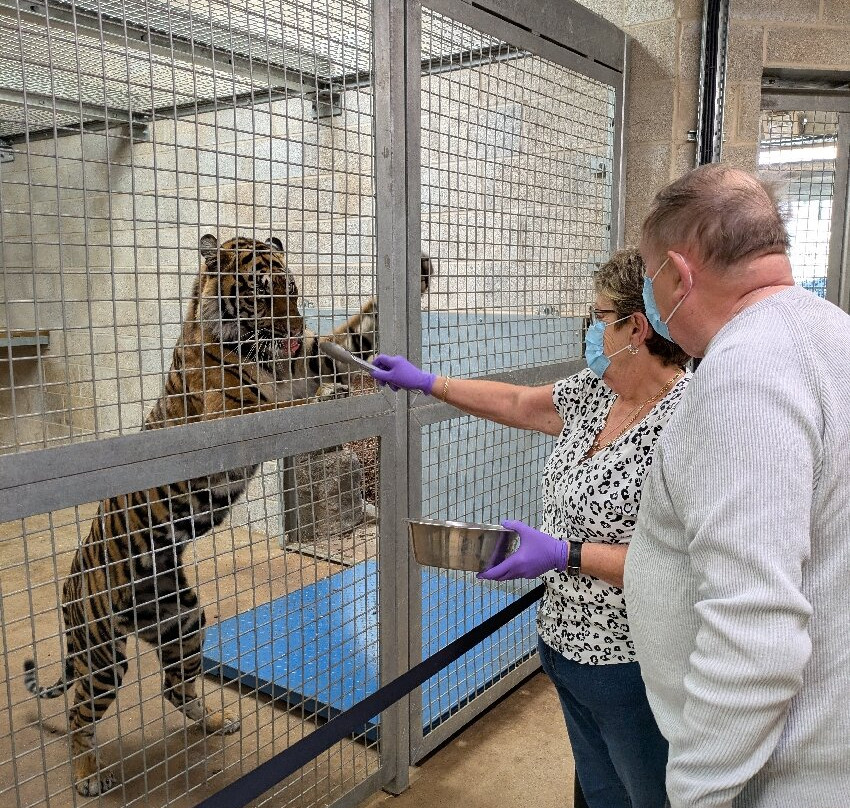 Twycross Zoo-Atherstone必去景点