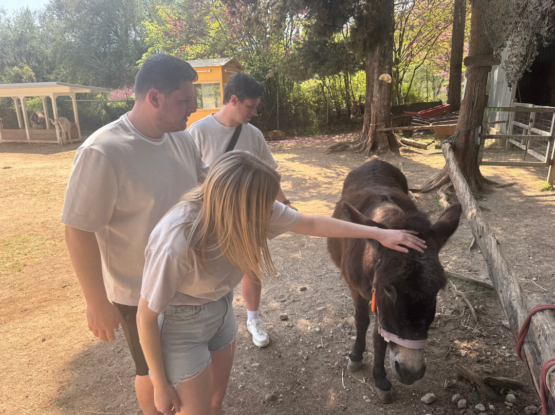 Corfu Donkey Rescue-Paleokastritsa必去景点
