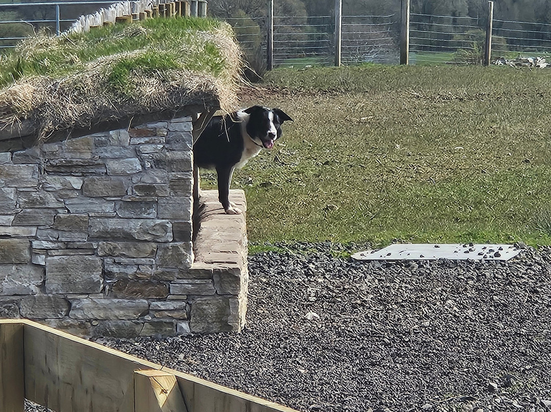 Glenshane Country Farm-Maghera必去景点
