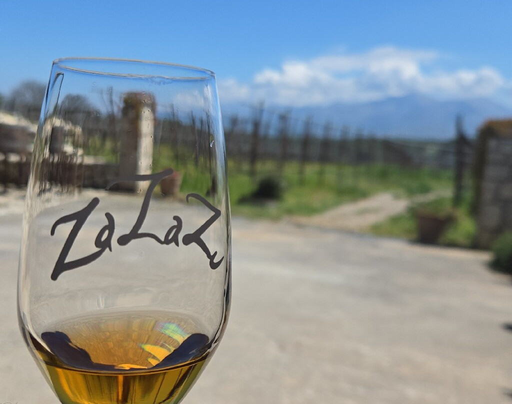 Lyrarakis Winery-伊拉克利翁必去景点