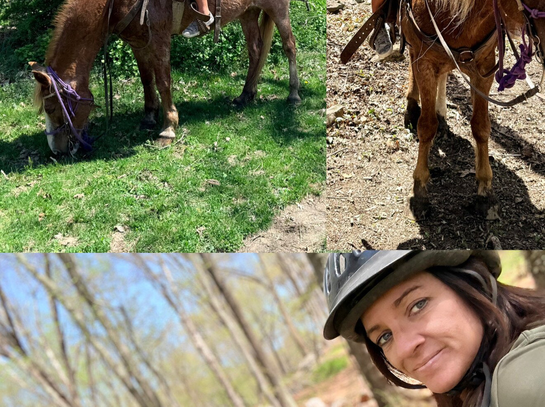Westchester Trail Rides-Croton on Hudson必去景点