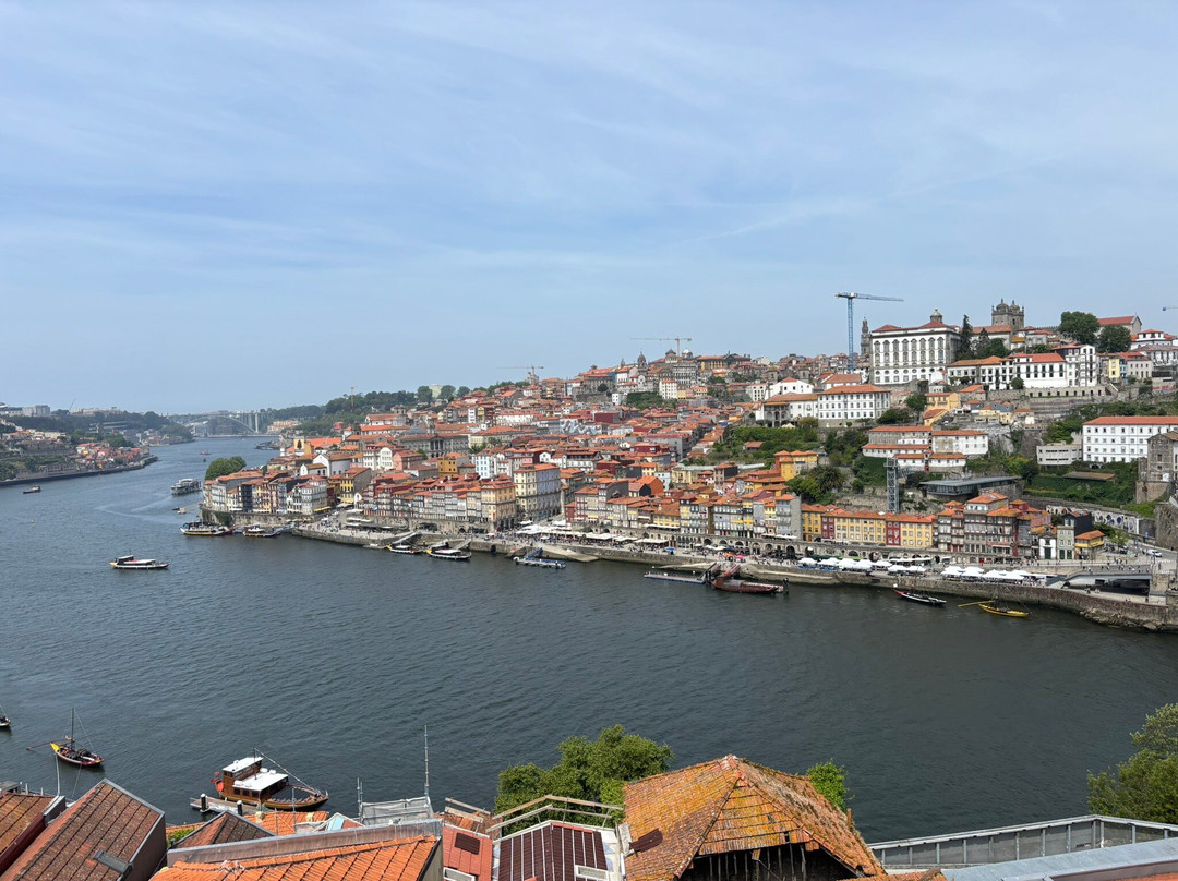 Hi Porto Walking Tours-波尔图必去景点