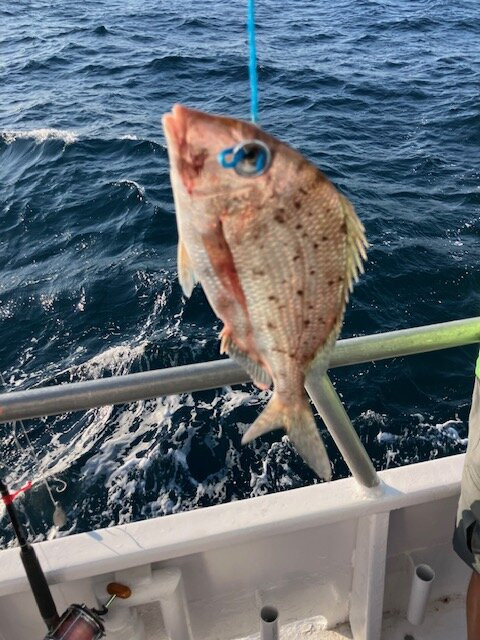Voyager Fishing Charters-美特尔海滩必去景点