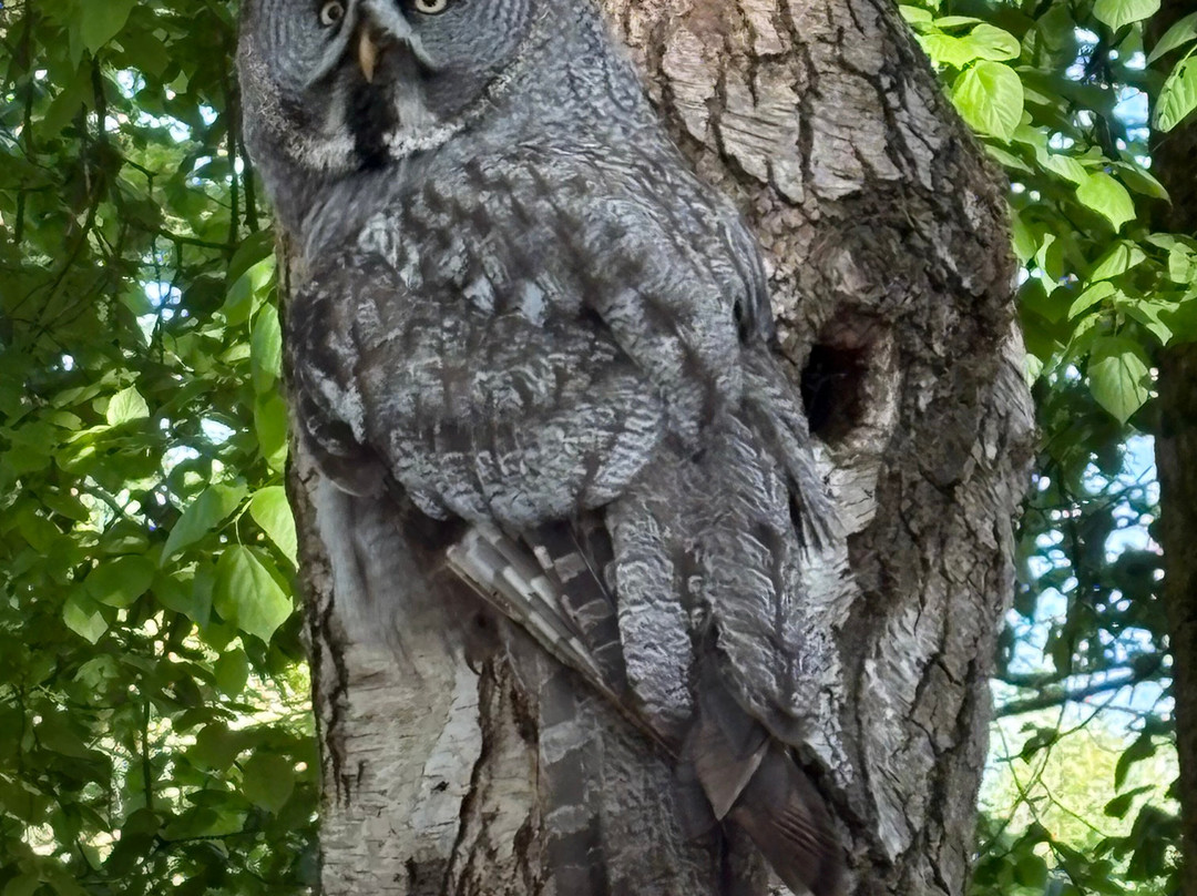 Hawk Conservancy Trust Bird of Prey Centre-Andover必去景点