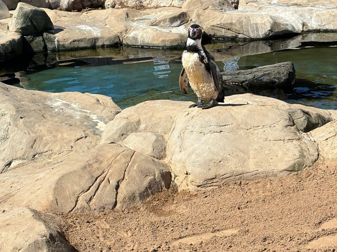 Sea Life Scarborough-斯卡伯勒必去景点