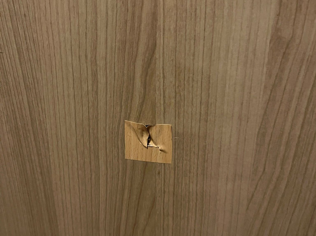 哈西斯泰因派特隆疗养酒店主图