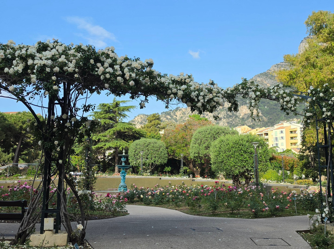 Princess Grace Botanical Garden-摩纳哥城必去景点