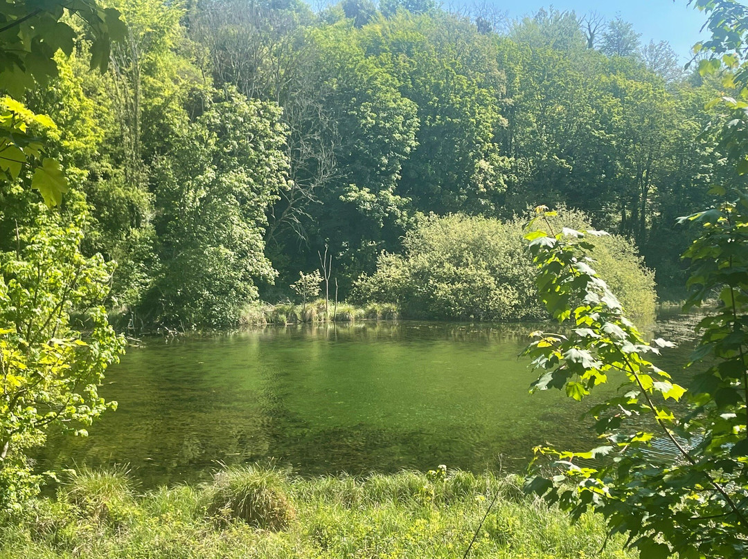 Swanbourne Lake-阿伦德尔必去景点