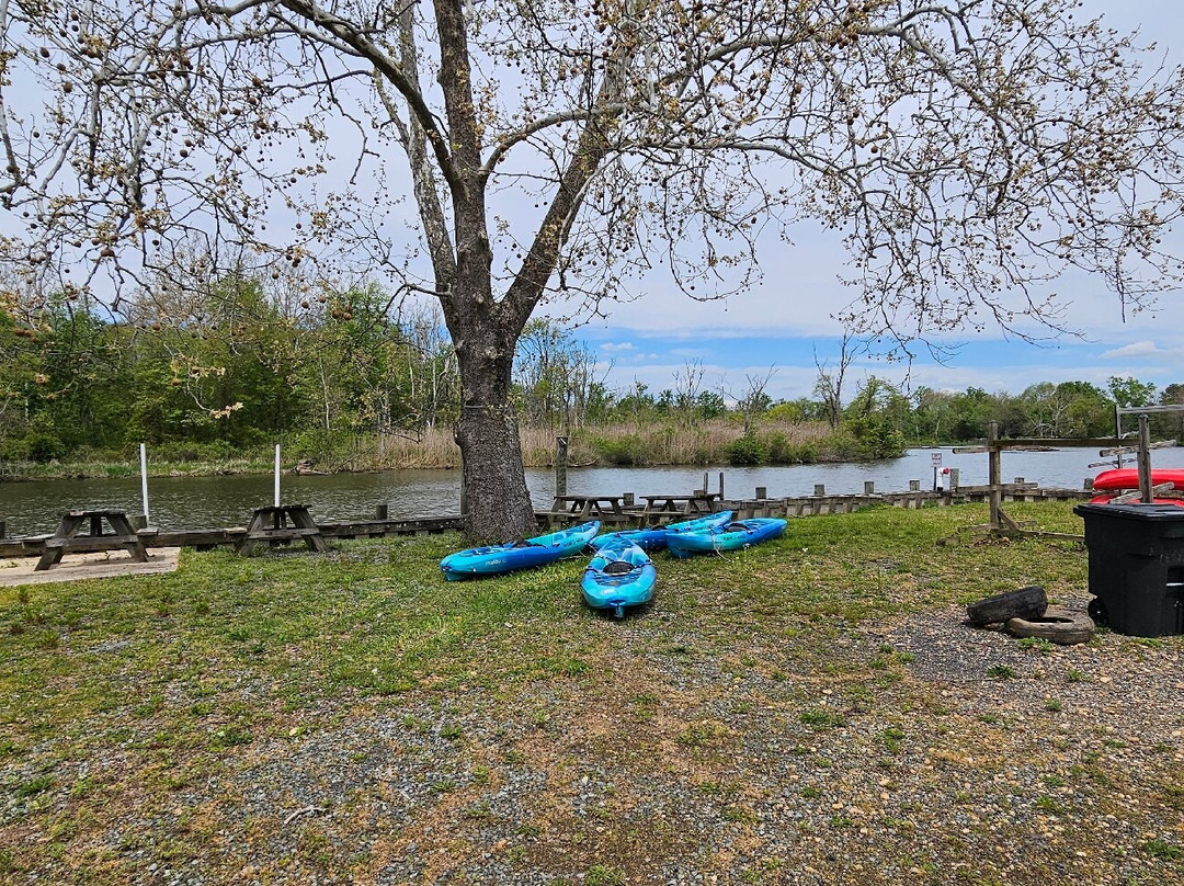Bay Venture Outfitters-North East必去景点