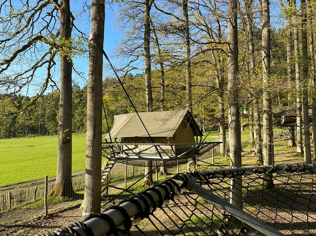 Domaine Des Grottes De Han-Han-sur-Lesse必去景点