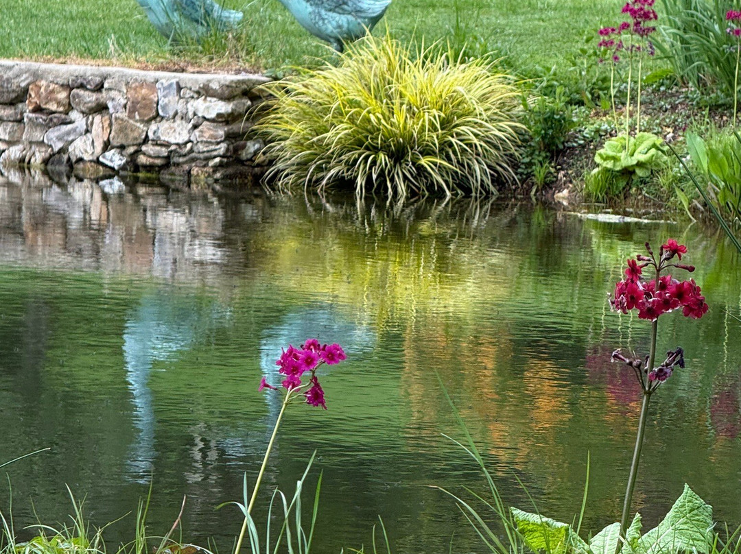 Burrow Farm Gardens-Dalwood必去景点