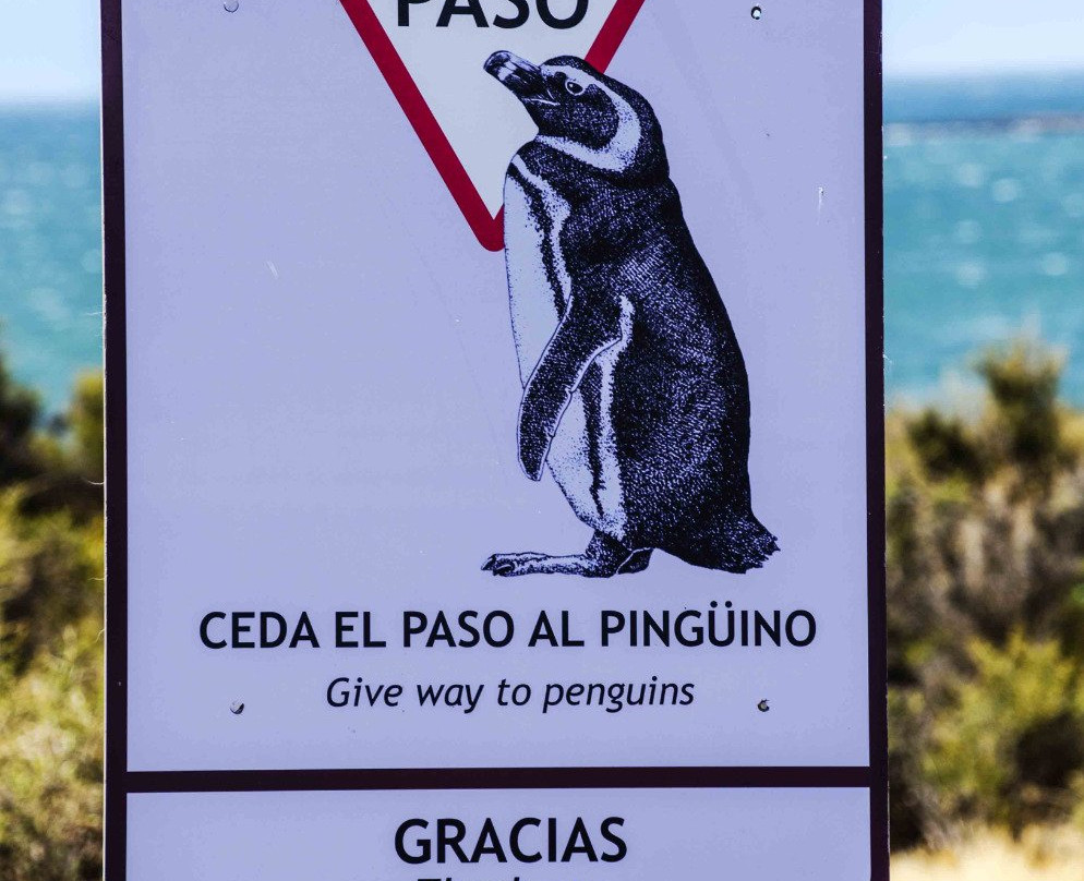 Punta Tombo-Dos Pozos必去景点