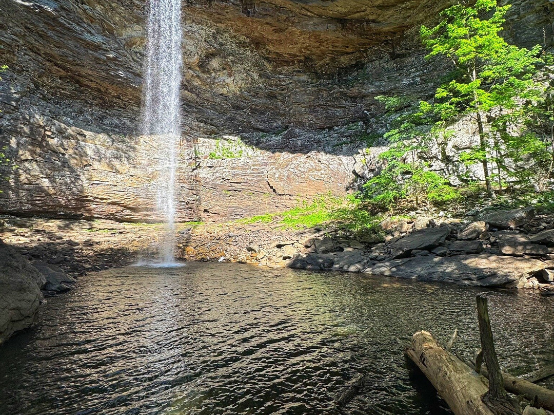 Ozone Falls State Natural Area-Crab Orchard必去景点