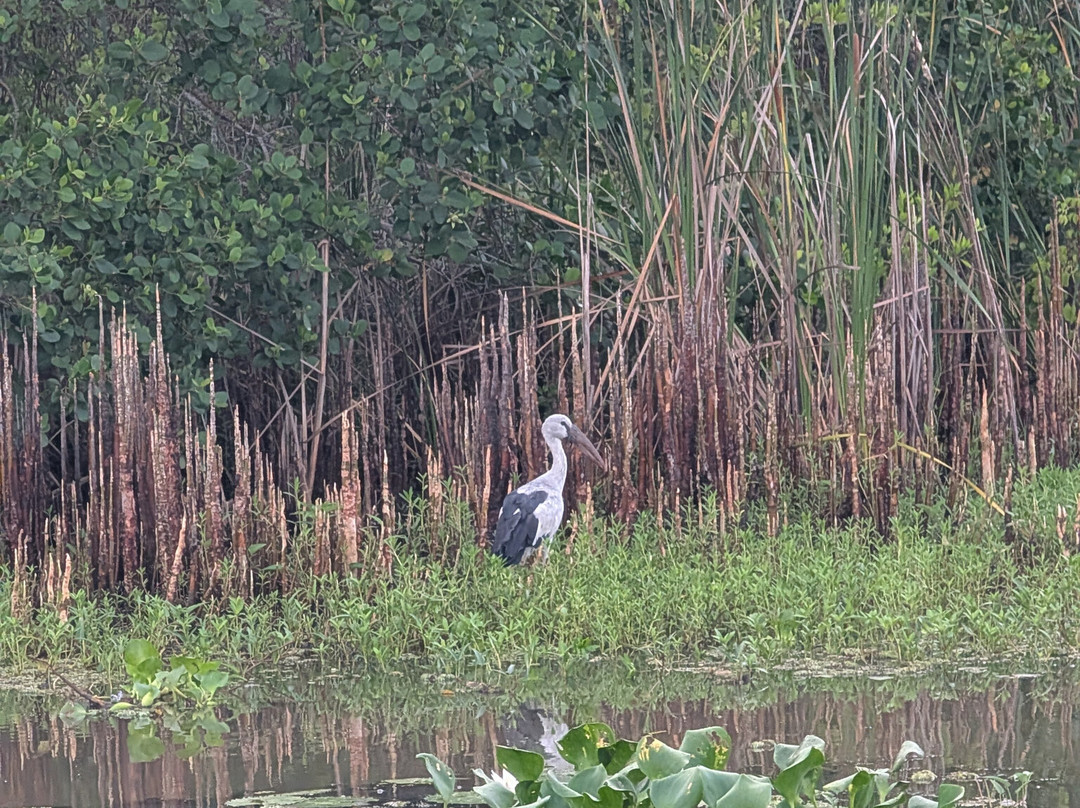 Wildlife Wonders Sri Lanka-唐卡拉必去景点