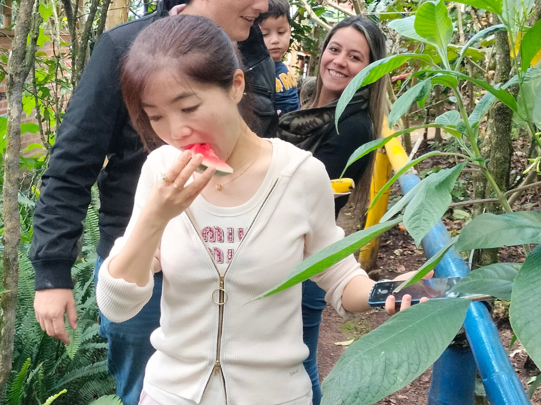 Botanic Health Gardens-Chachagui必去景点