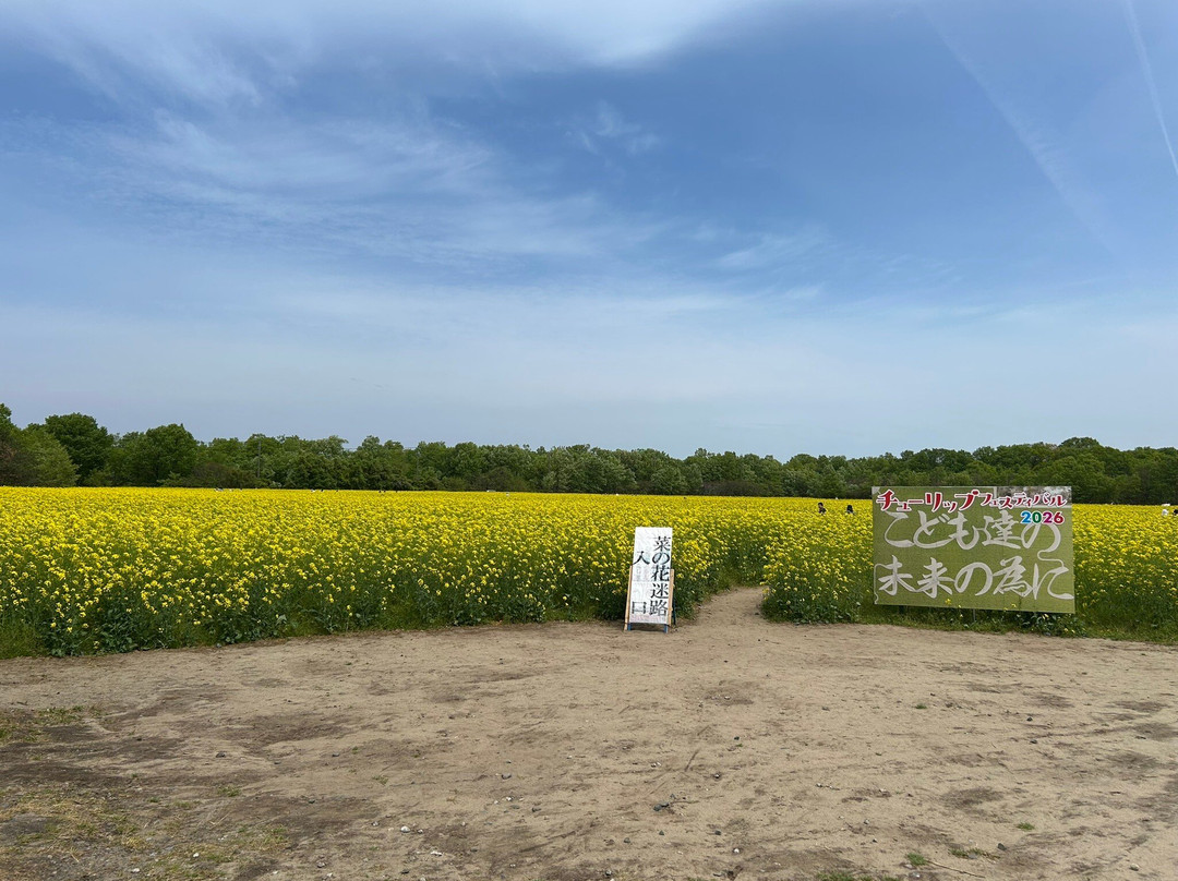 Tainai Flower Park-胎内市必去景点