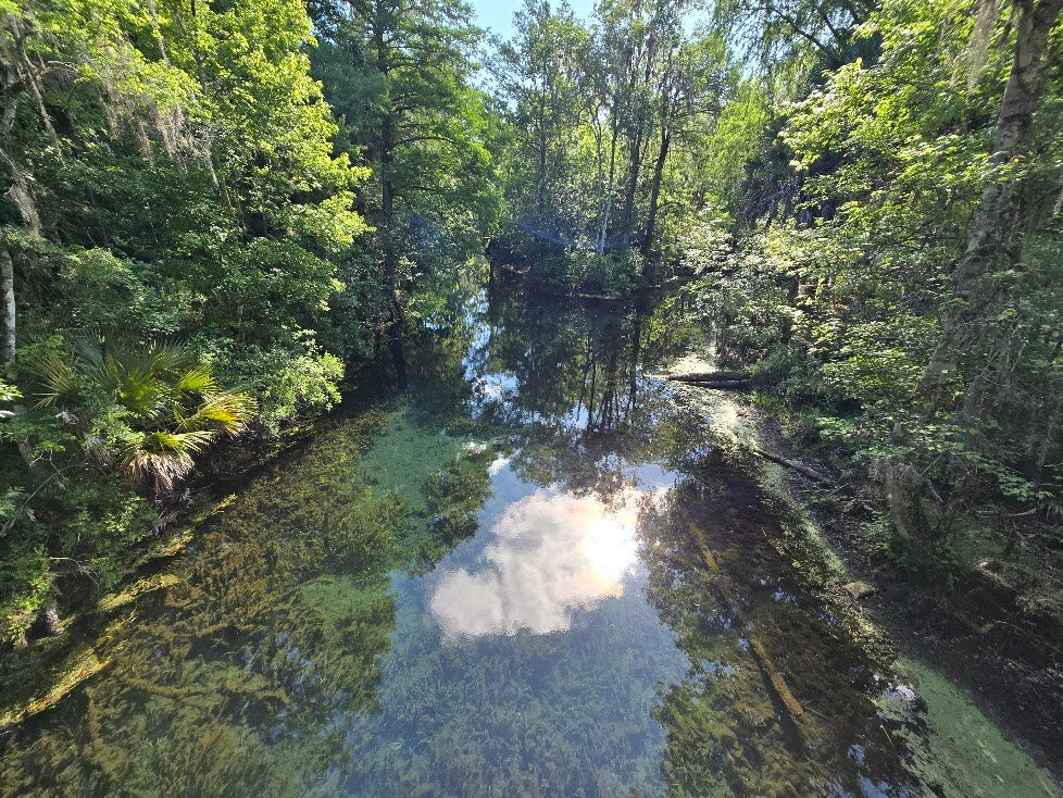 Silver Springs State Park-Silver Springs必去景点