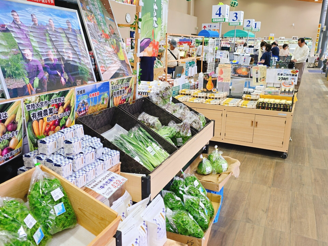 Michi-no-Eki Hitachi Omiya Kawa Plaza-常陆大宫市必去景点