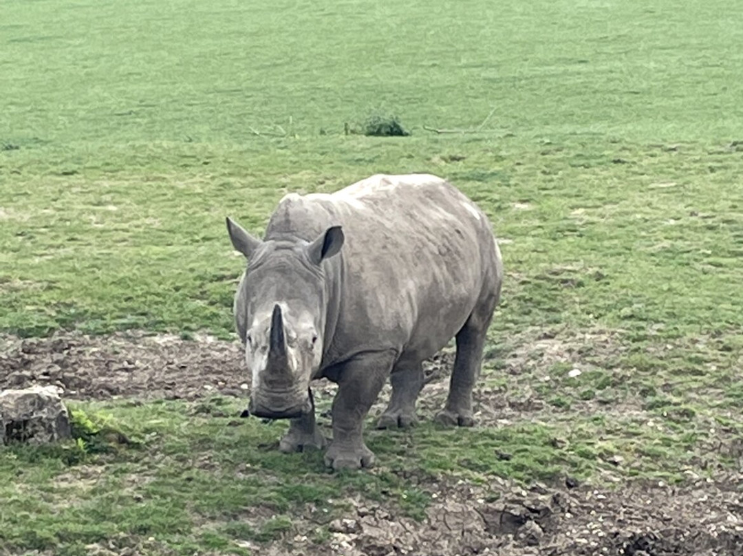 Marwell Zoo-温彻斯特必去景点