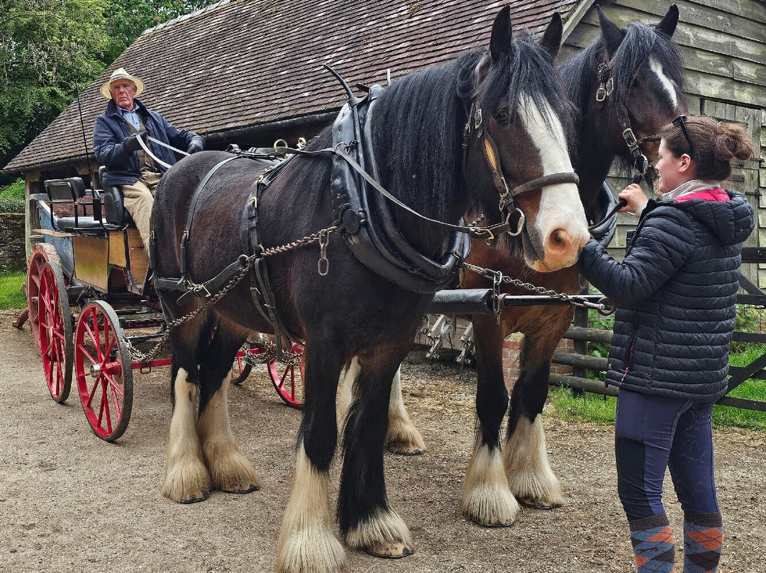 Acton Scott Heritage Farm-Acton Scott必去景点