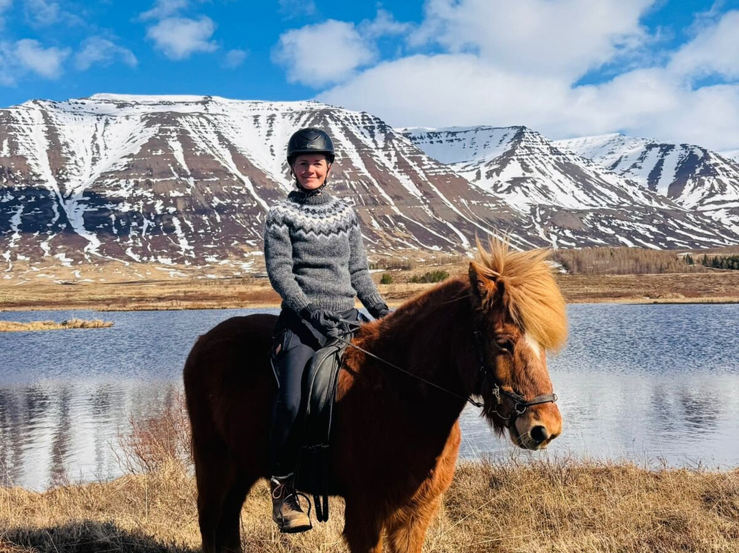 Yogihorse Iceland-Hofsos必去景点