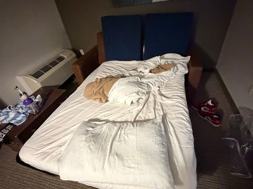 大狼小屋主图