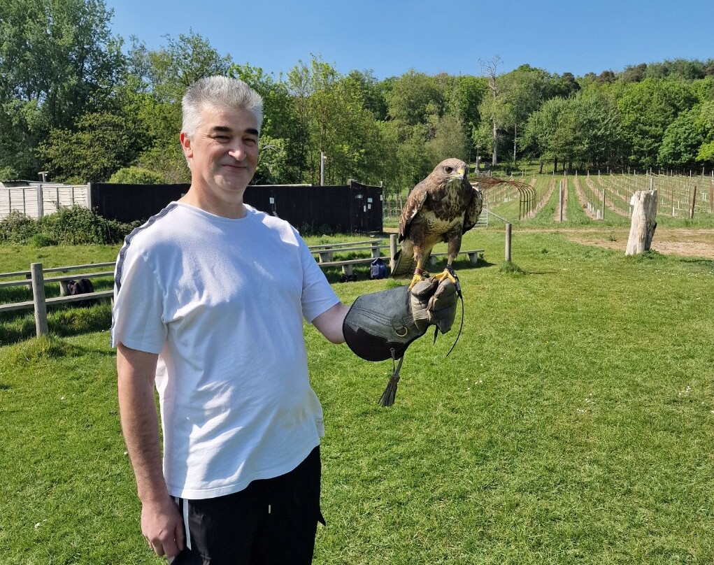 UK Owl And Raptor Centre-Groombridge必去景点