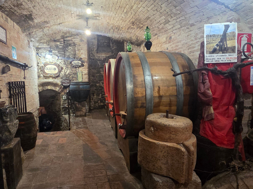Azienda Agricola Ercolani-蒙特普尔恰诺必去景点
