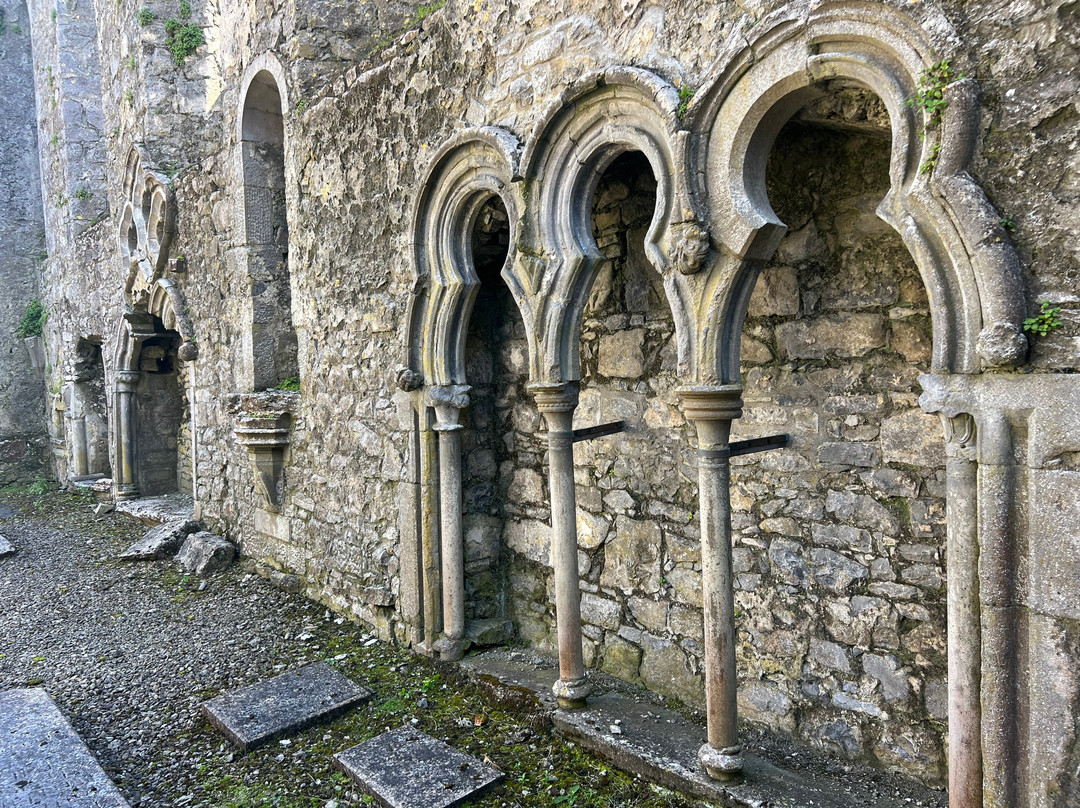 Athenry Castle-Athenry必去景点