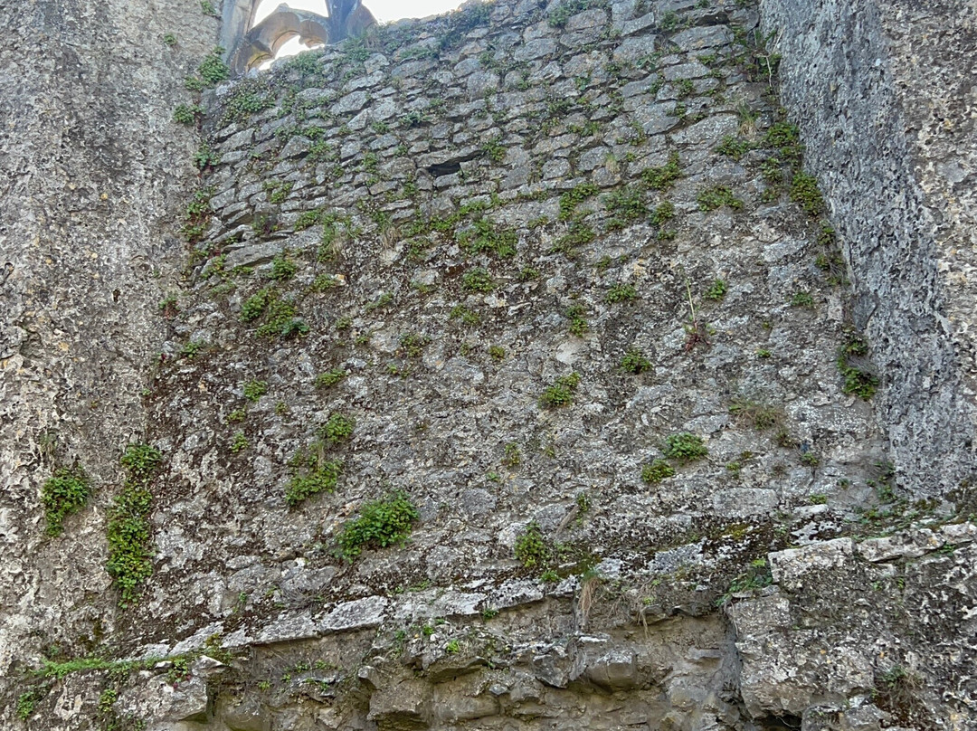 Athenry Castle-Athenry必去景点