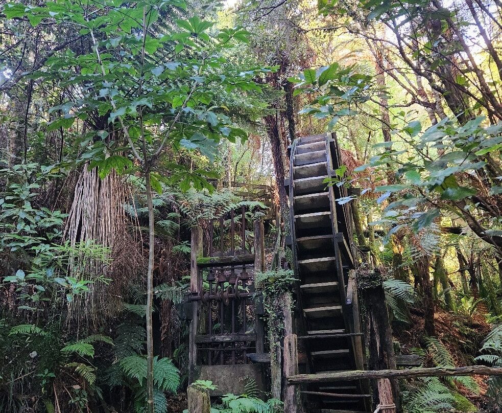 Mitchells Gully Goldmine-Charleston必去景点