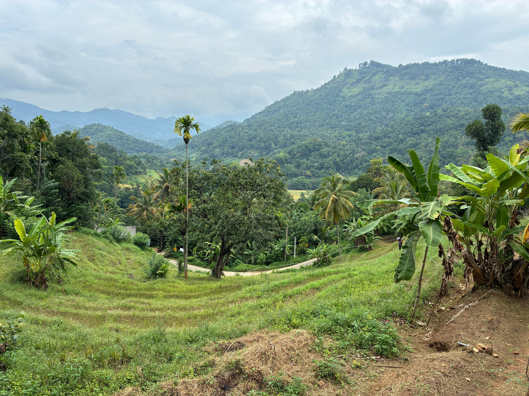 Sri Lanka Trekking-康提必去景点