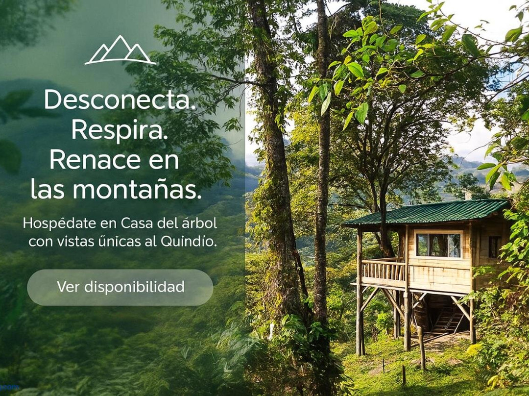 Casa Del Arbol Mirolindo Pijao Quindio
