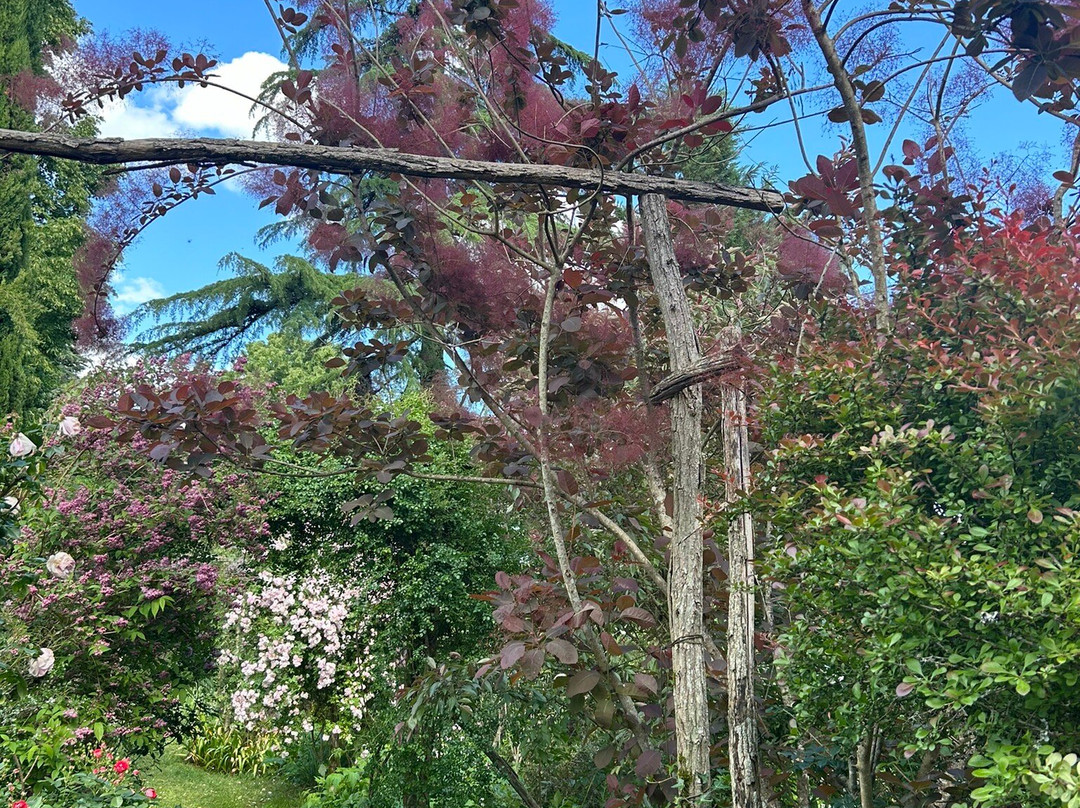 Le Jardin de Boissonna-Baleyssagues必去景点