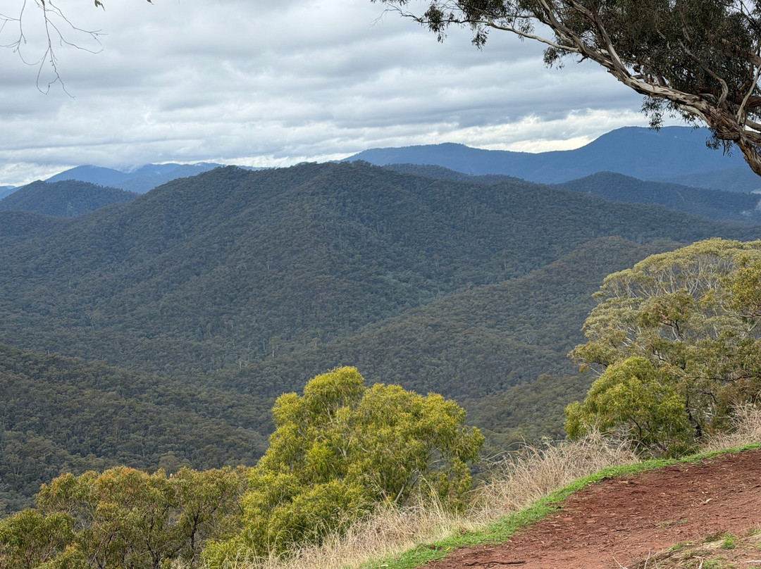 Watson's Mountain Country Trail Rides - Day Tours-曼斯菲尔德必去景点
