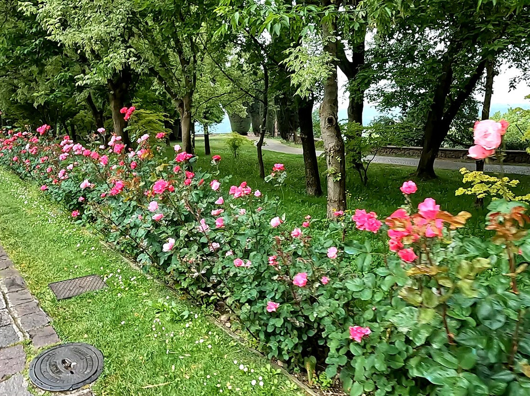 Parco Giardino Sigurtà-明乔河畔瓦莱焦必去景点