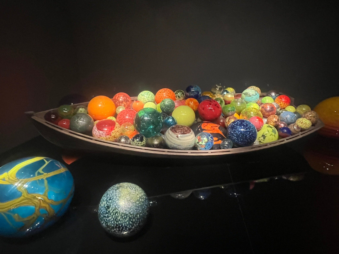 Chihuly Collection-圣彼德斯堡必去景点